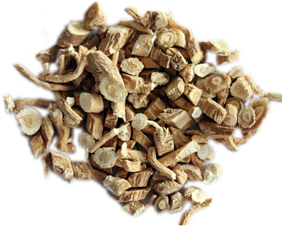 带式干燥机干燥后的板蓝根