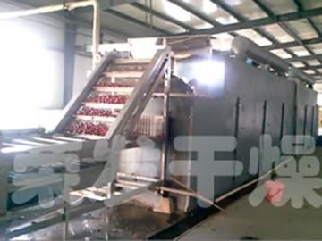红枣专用带式烘干机生产线