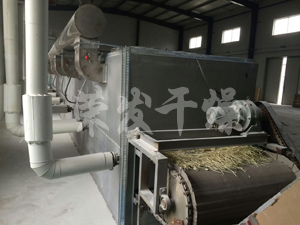 催化条剂带式干燥机生产线